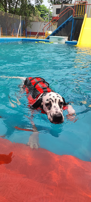 Google Maps image 20