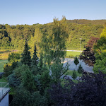 Photo n°1 de l'avis de Brendy. fait le 29/07/2018 à 15:45 sur le  Landhotel Gasthof Hubertus à Schmallenberg