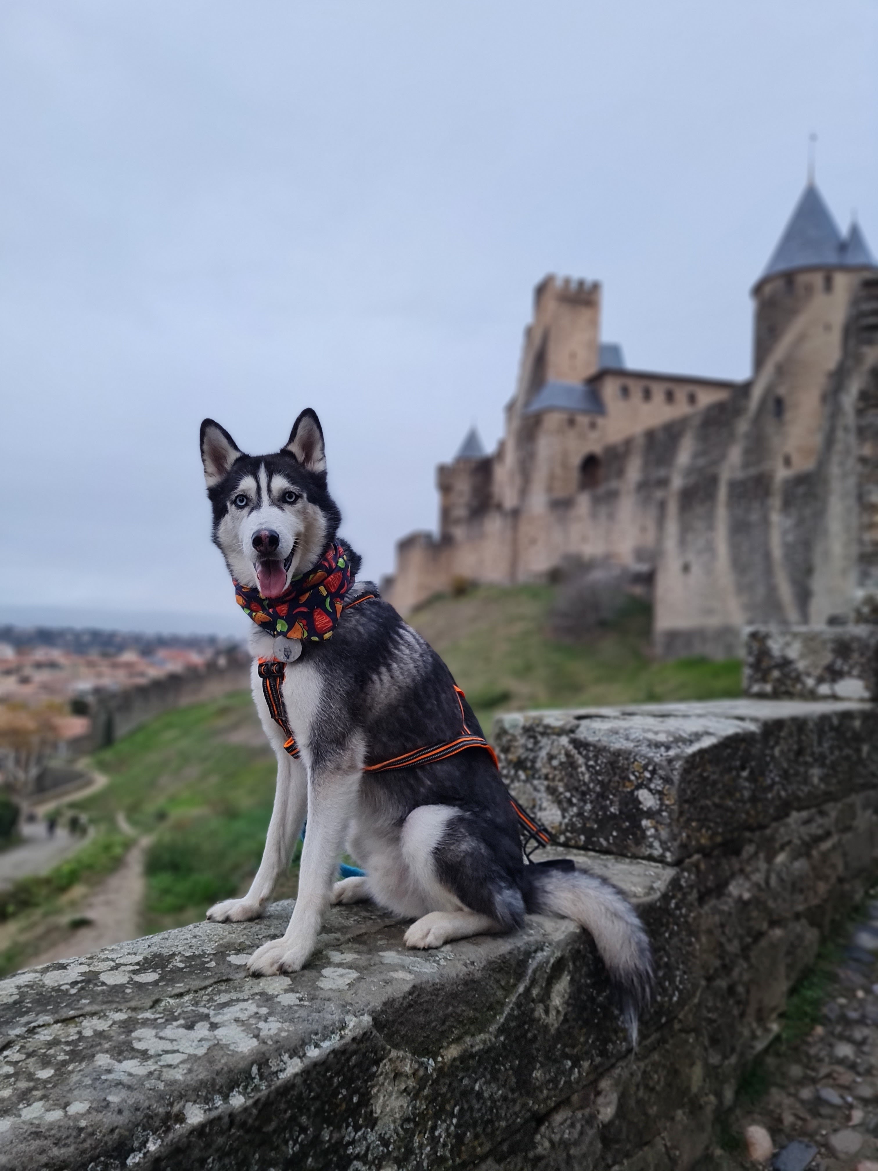 Photo n° 1 de l'avis de Aline.e fait le 15/12/2023 à 17:37