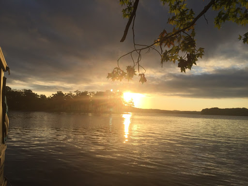 Marina «Terrace View Marina», reviews and photos, 3367 Euchee Chapel Rd, Spring City, TN 37381, USA