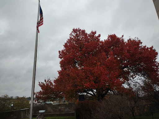 Bar & Grill «Lock 34 Bar & Grill», reviews and photos, 80 Main St, Lockport, NY 14094, USA