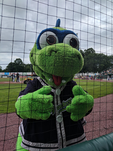 Stadium «Centennial Field», reviews and photos, 287 Colchester Ave, Burlington, VT 05401, USA