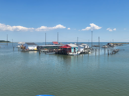 Cruise Agency «Tangier Island Cruises», reviews and photos, 468 Buzzards Point Rd, Reedville, VA 22539, USA