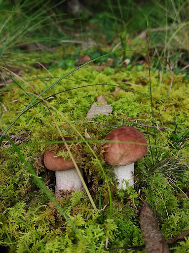 Golf Course «Generals Ridge Golf Course», reviews and photos, 9701 Manassas Dr, Manassas Park, VA 20111, USA