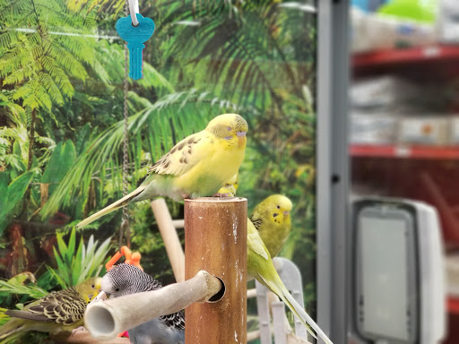 Pet Supply Store «Petco Animal Supplies», reviews and photos, 9 W Avon Rd, Avon, CT 06001, USA