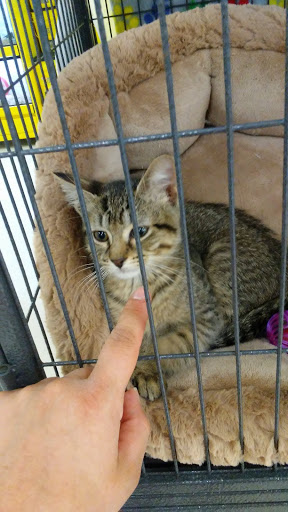 Pet Supply Store «Pet Supplies Plus», reviews and photos, 5708 State St, Saginaw, MI 48603, USA