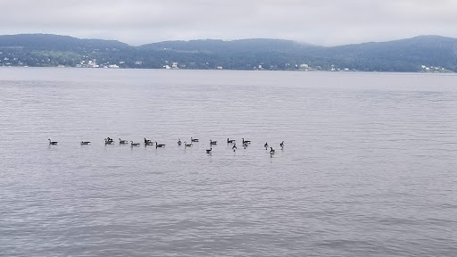 Park «Kingsland Point County Park», reviews and photos, Tarrytown Light-Kingsland Point Path, Sleepy Hollow, NY 10591, USA