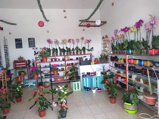 Quia Floristeria