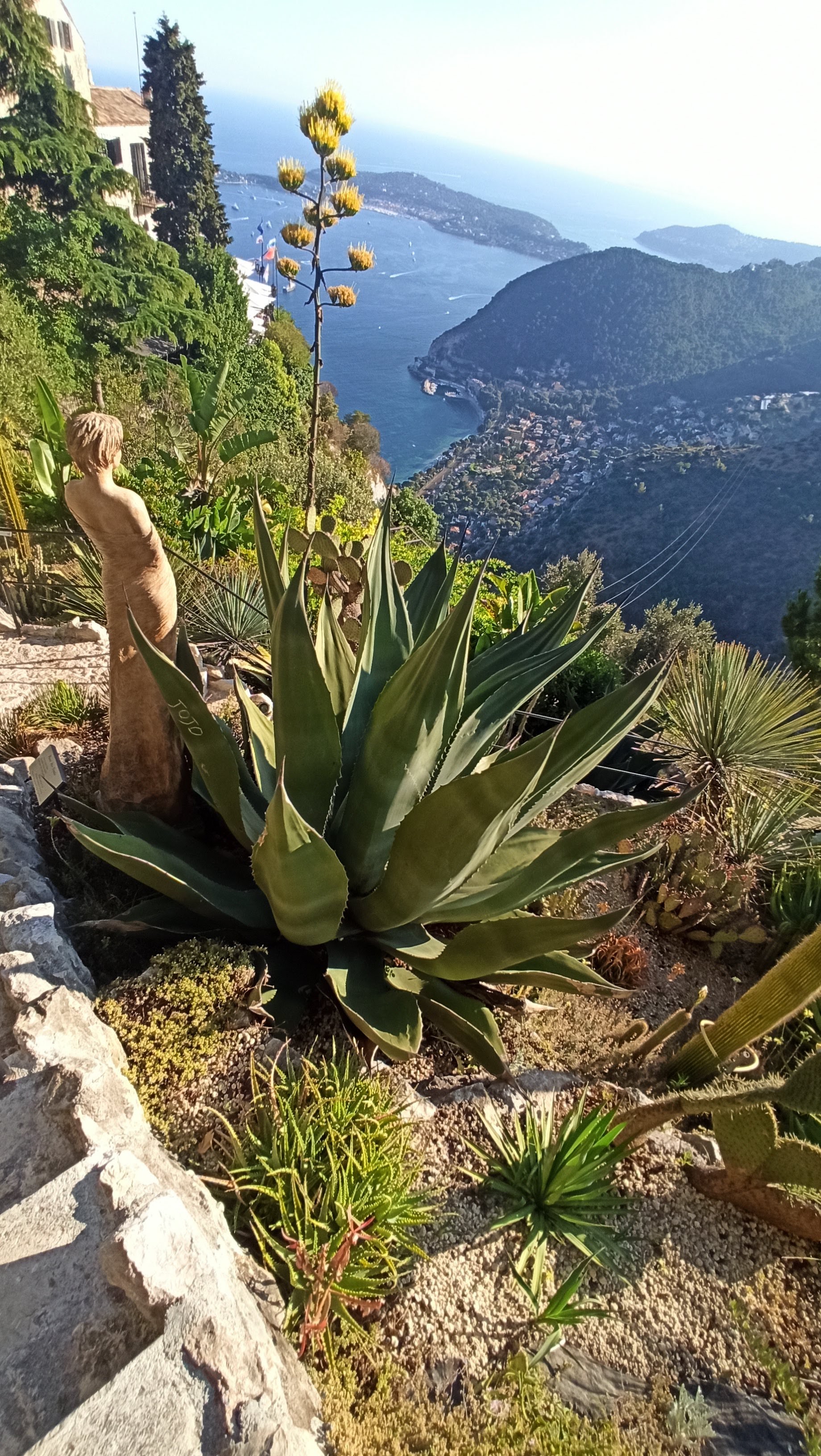 Photo n° 12 de l'avis de Laurent.a fait le 11/07/2021 à 10:38