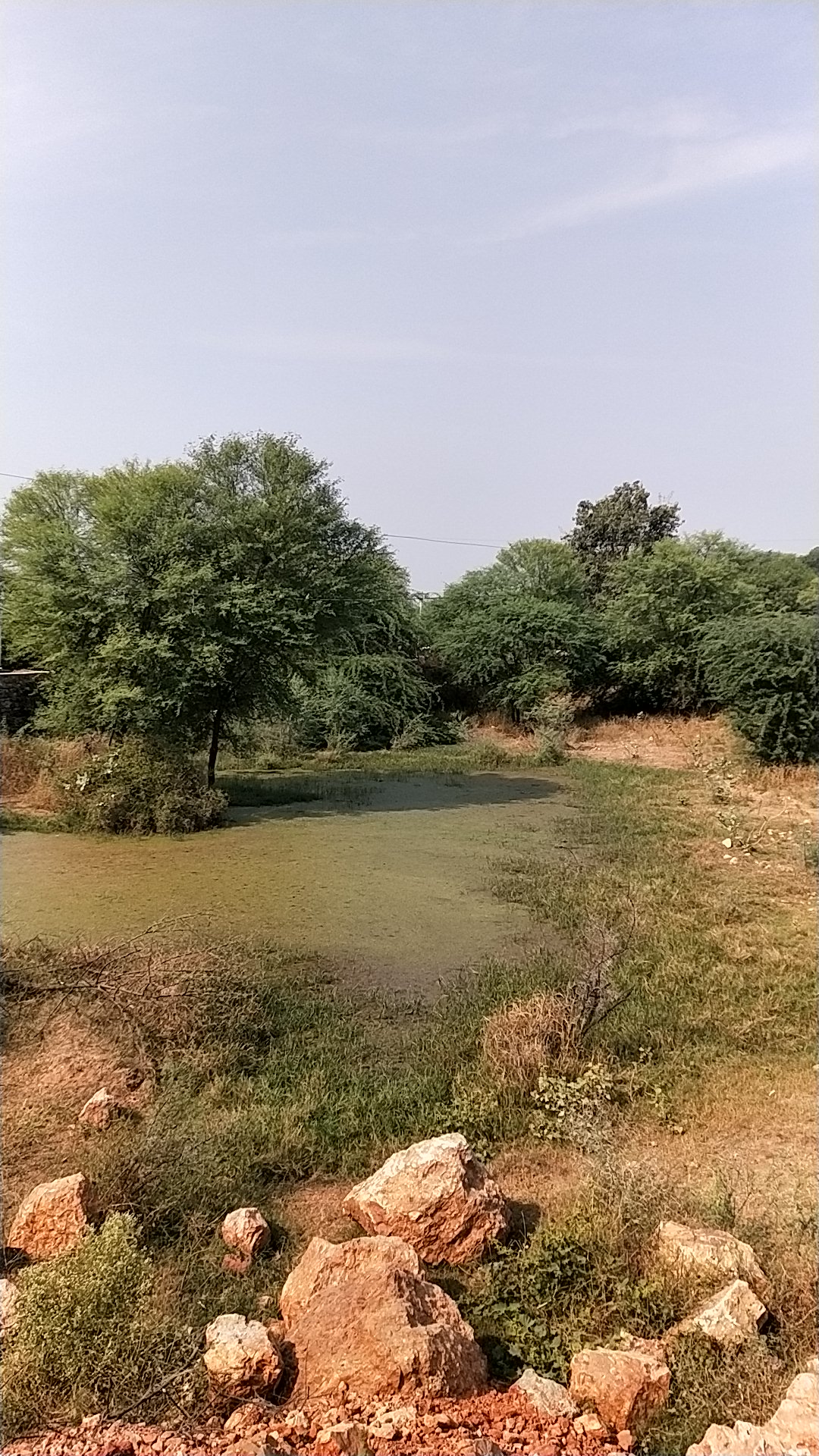 सामुदायिक तलाई धूलवास