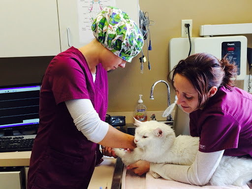 Cat Care Clinic - West image