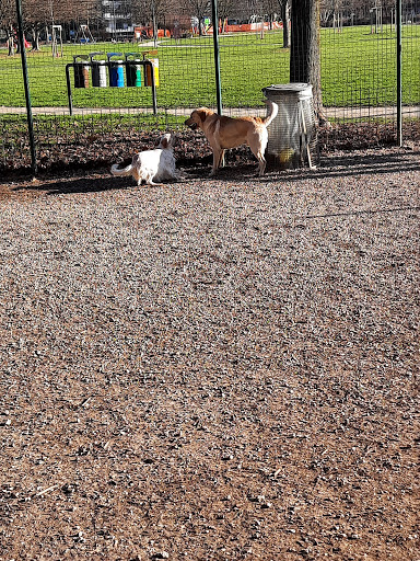 Area cani nel parco Iris