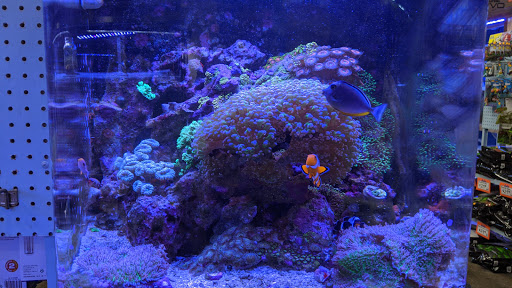 Tropical Fish Store «The Fish Store», reviews and photos, 12320 Lake City Way NE, Seattle, WA 98125, USA