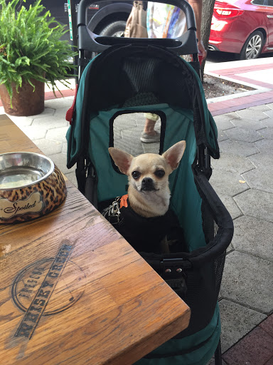 Gastropub «FRESCOS», reviews and photos, 132 S Kentucky Ave, Lakeland, FL 33801, USA