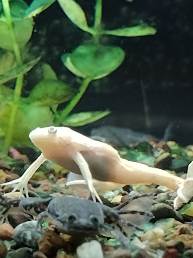 Pet Store «Teske Pet & Garden», reviews and photos, 2423 16th St, Moline, IL 61265, USA