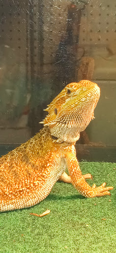 Tropical Fish Store «Monfort Aquarium & Pet», reviews and photos, 6520 Colerain Ave, Cincinnati, OH 45239, USA