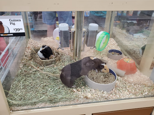Pet Supply Store «Pet Supermarket, Inc.», reviews and photos, 6755 W Indiantown Rd, Jupiter, FL 33458, USA