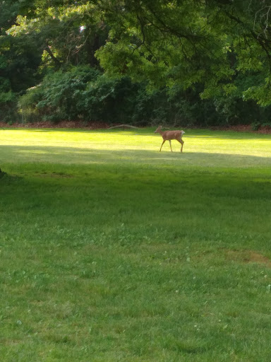 Golf Course «Christopher Morley Park Golf», reviews and photos, 500 Searingtown Rd, Roslyn, NY 11576, USA