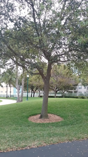 Park «Founders Park», reviews and photos, 3105 NE 190th St, Miami, FL 33180, USA