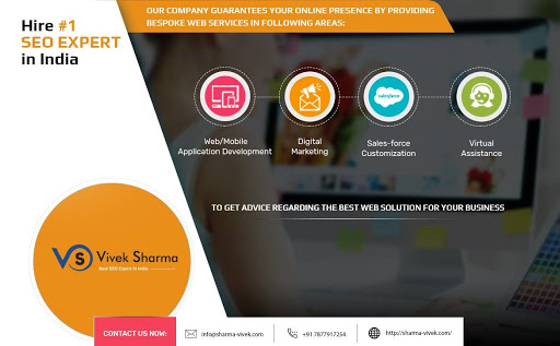 Best SEO Expert in India - Vivek Sharma