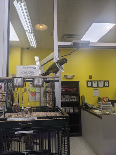 Pet Supply Store «Mellisa’s PET DEPOT», reviews and photos, 83 Faunce Corner Mall Rd, Dartmouth, MA 02747, USA