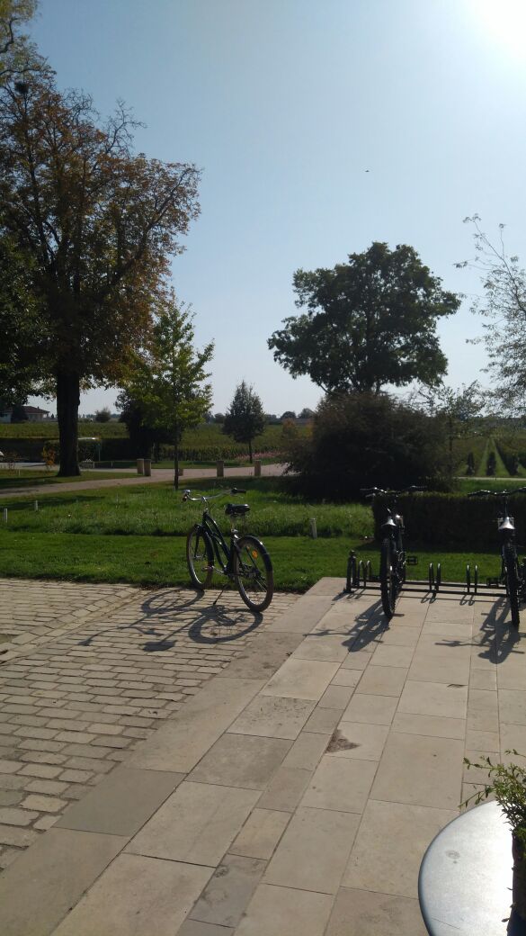Photo n° 2 de l'avis de Ligia.m fait le 14/10/2017 à 13:41