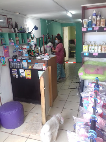 Peluqueria Canina Marta Y Ale - Conchalí