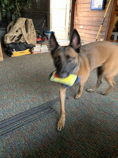 Pet Supply Store «Petco Animal Supplies», reviews and photos, 1933 South Rd, Poughkeepsie, NY 12601, USA