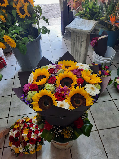 Floreria Lilis – Tomatlán