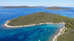 Plaza Juzna Luka'in fotoğrafı ve yerleşim