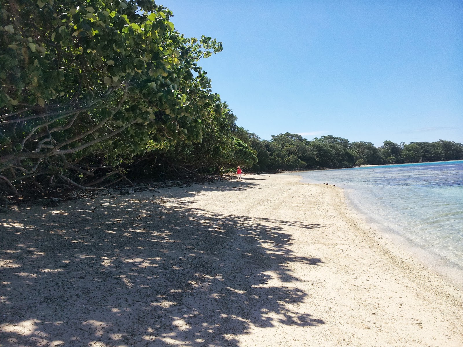 Aimbuei Bay'in fotoğrafı #43 ile birlikte
