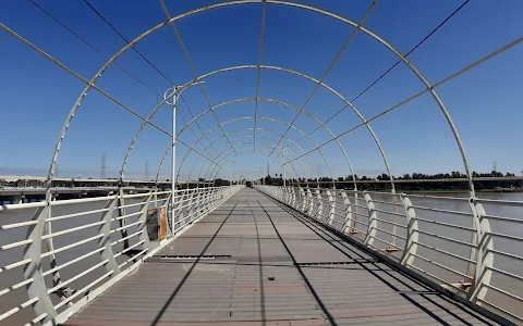 Tabiat Walking Bridge image