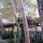 Photo n°1 de l'avis de Giuliana.e fait le 09/09/2020 à 15:03 sur le  Restaurant Self-Service House Civinini à Punta Ala