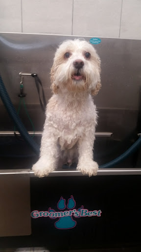 Pet Supply Store «Pet Supplies Plus», reviews and photos, 1137 Annapolis Rd, Odenton, MD 21113, USA