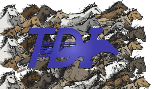 Pet Supply Store «Elverta Feed Pet & Tack Inc», reviews and photos, 7831 Rio Linda Blvd, Elverta, CA 95626, USA