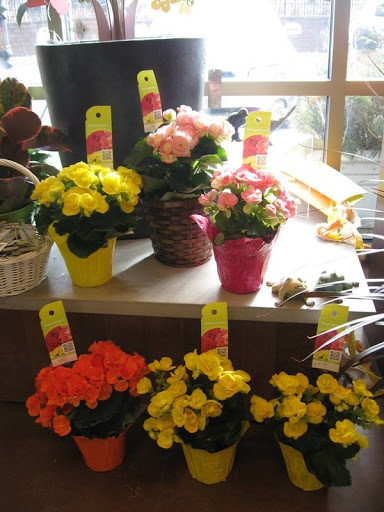 Florist «Best Wishes Floral», reviews and photos, 689 Winnetka Ave N, Golden Valley, MN 55427, USA