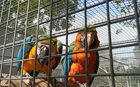 Vogelpark Groß-Rohrheim image