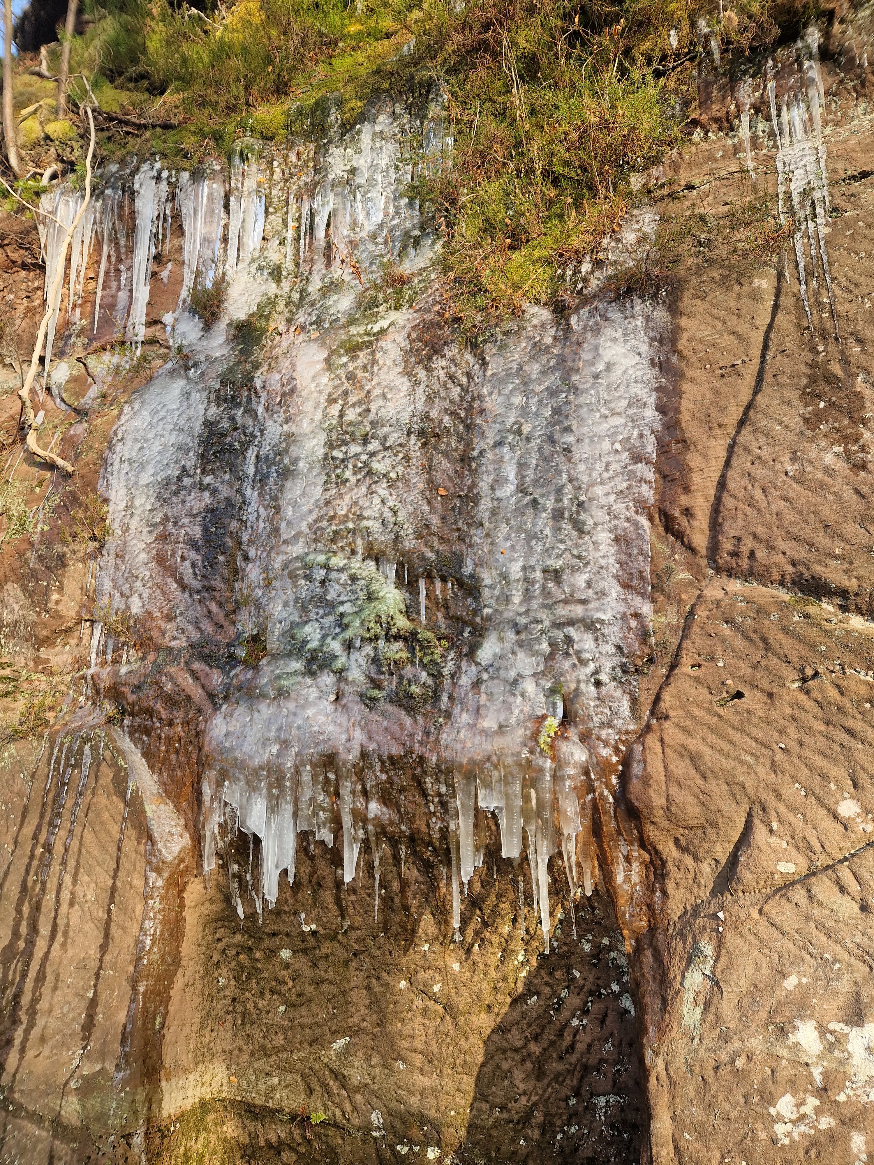 Photo n° 37 de l'avis de Beno. fait le 14/01/2024 à 20:33