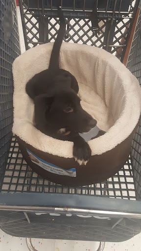 Pet Supply Store «Petco Animal Supplies», reviews and photos, 2541 NW Arterial, Dubuque, IA 52002, USA