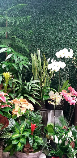 Florist «Royal Petals», reviews and photos, 188 E Wend St, Lemont, IL 60439, USA