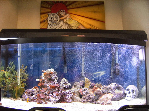 Tattoo Shop «Echo Tattoo», reviews and photos, 19508 Aurora Ave N, Shoreline, WA 98133, USA