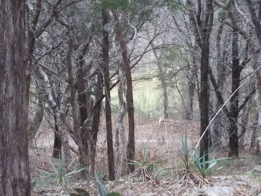 Cabin Rental Agency «Paluxy River Bed Cabins», reviews and photos, 1319 FM 205, Glen Rose, TX 76043, USA