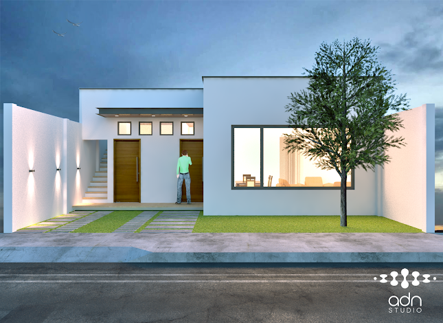 Arquitectura & Diseño Nativo (ADN _ Studio) - Arquitecto