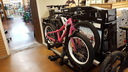 Bicycle Store «Landis Cyclery», reviews and photos, 712 W Indian School Rd, Phoenix, AZ 85013, USA