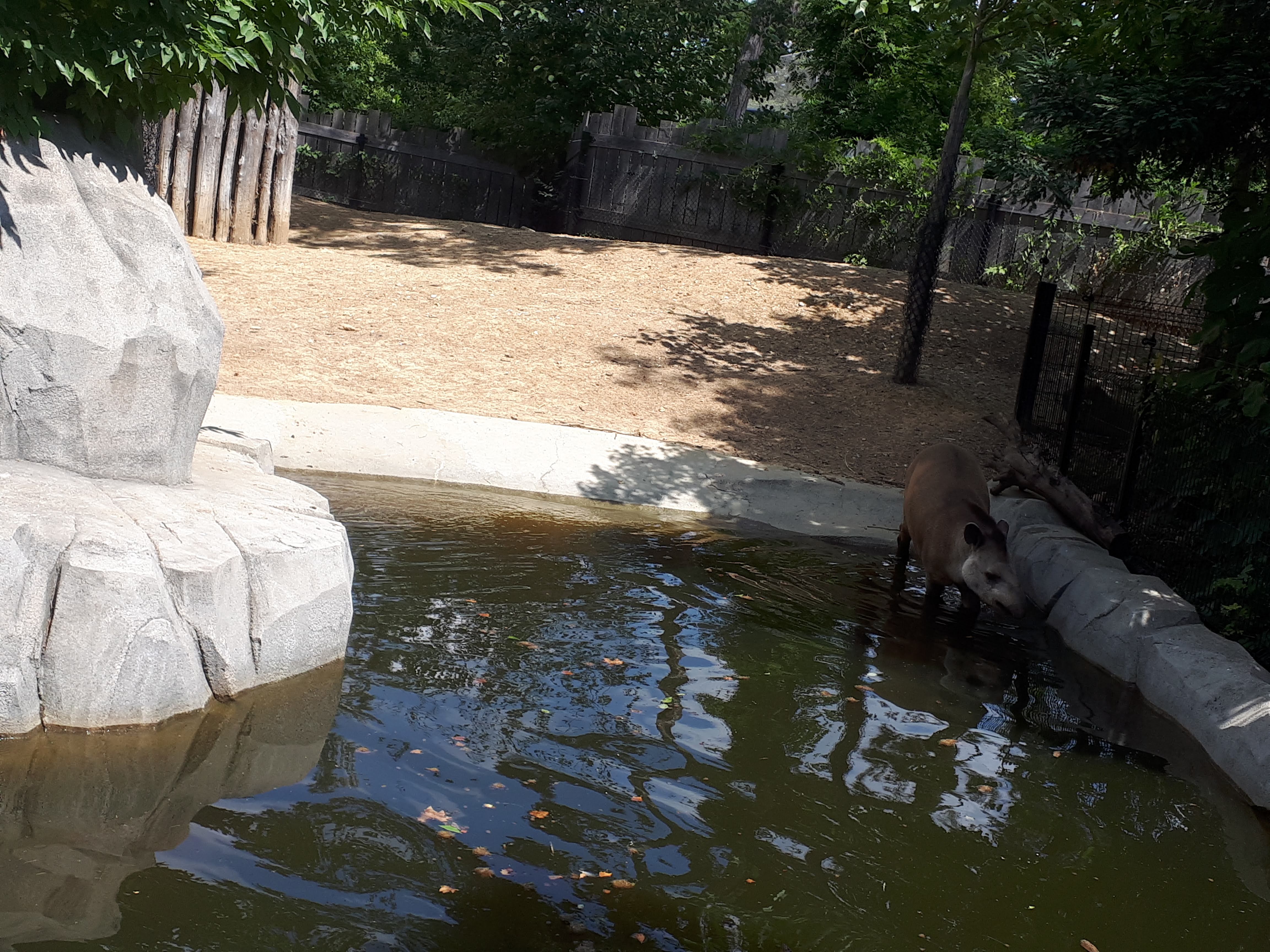 Photo n° 5 de l'avis de Saf.a fait le 18/09/2018 à 13:00