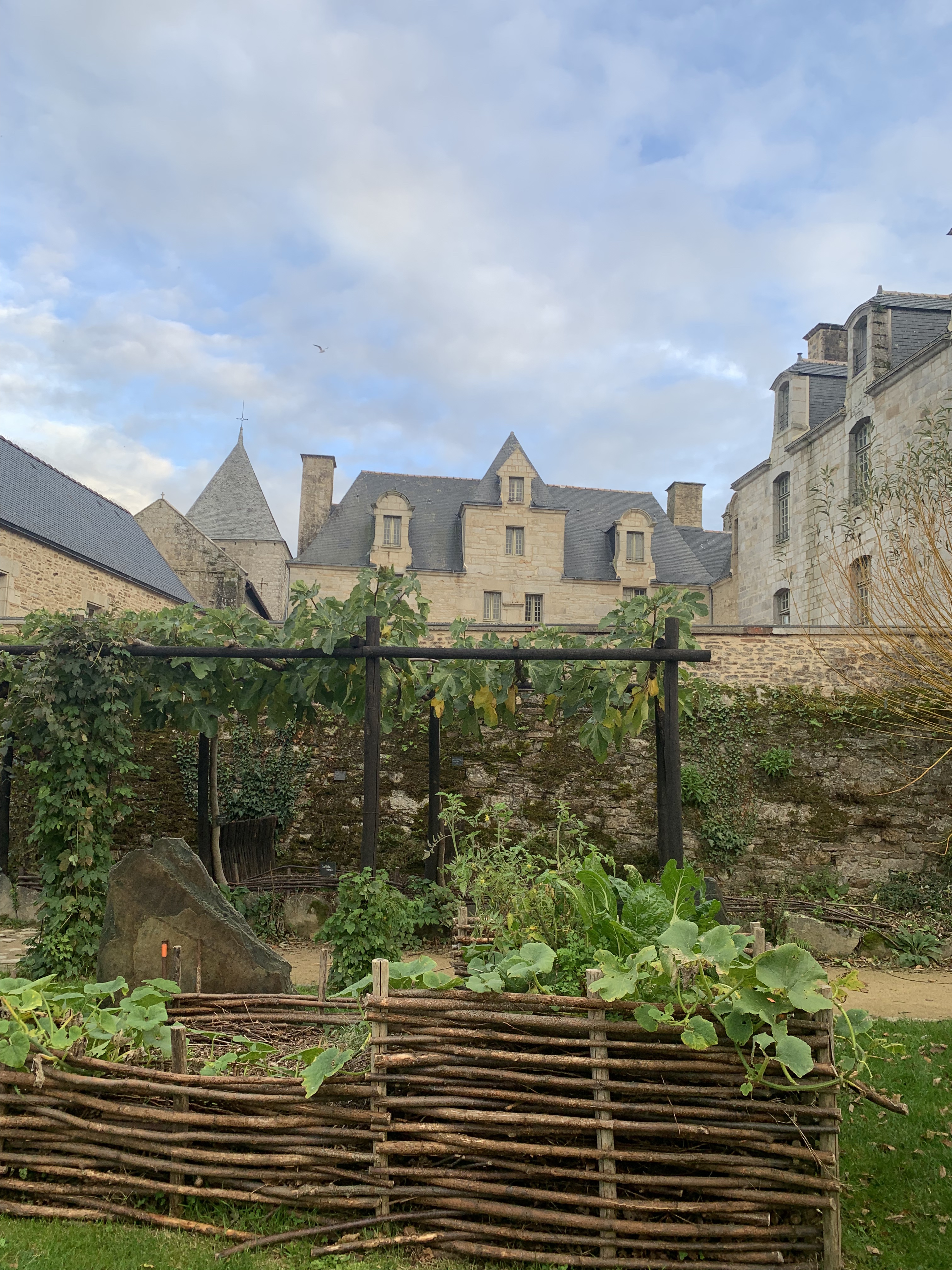 Photo n° 21 de l'avis de Su.e fait le 26/10/2022 à 17:49