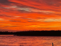 Carey Haynes Piano Lessons - Photo 2 - Car repair in Olive Branch, MS, Memphis
