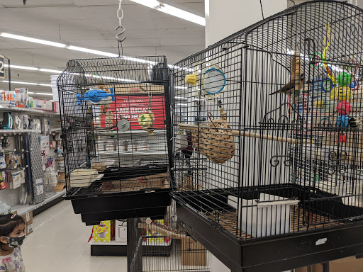 Hardware Store «Acton Ace Hardware», reviews and photos, 210 Main St, Acton, MA 01720, USA