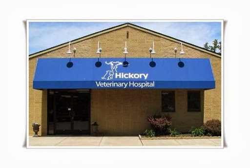 Animal Hospital «Hickory Veterinary Hospital», reviews and photos, 534 E Jarrettsville Rd, Forest Hill, MD 21050, USA