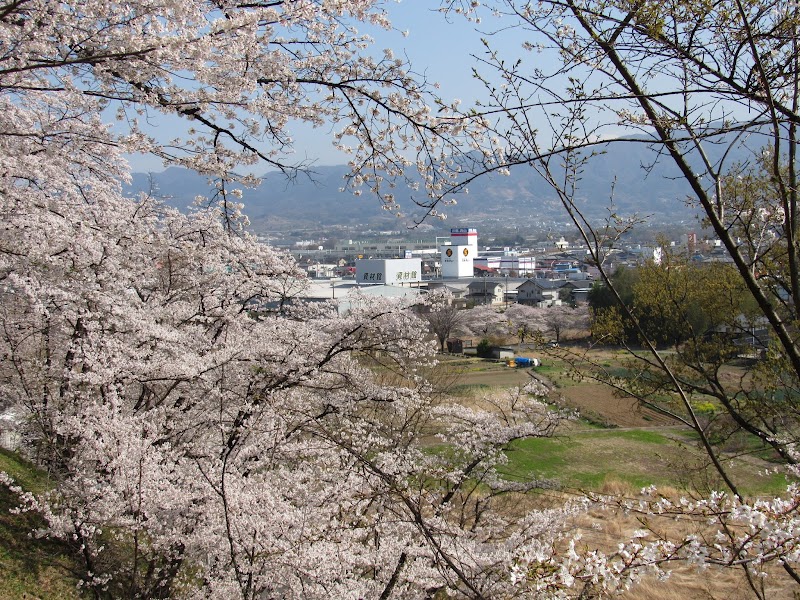 城山公園眺望台